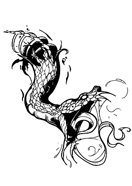 Black and White Snake Illustration
