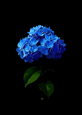 Vibrant Blue Hydrangea Flower