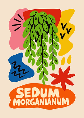 Sedum Plant Wall Art