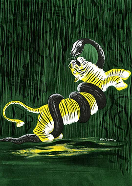 Tiger and Snake Fight