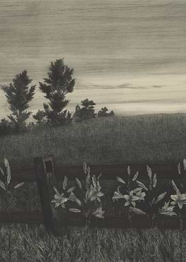 Pencil Drawing of a Rural Landscape with Lilies