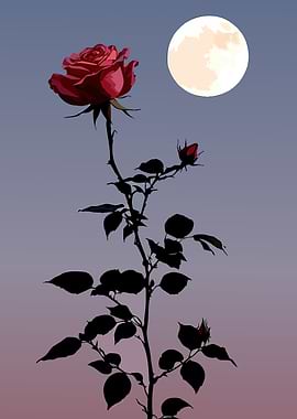 Red Rose Under the Moon