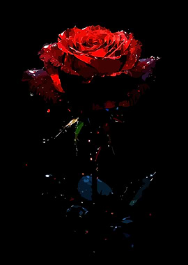 Red Rose with Water Droplets