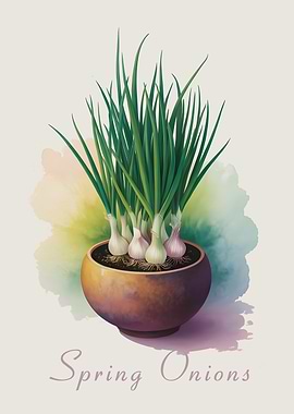 Spring Onions in a Pot