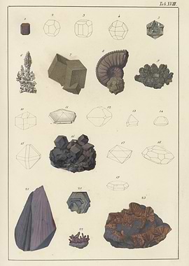 Vintage Mineral and Fossil Illustrations
