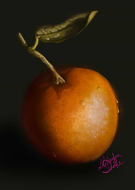 Digital Painting of an Orange with Leaf