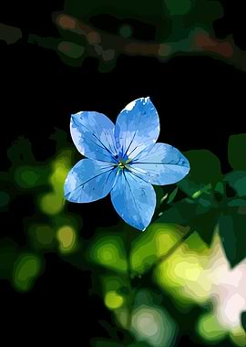 Vibrant Blue Flower in Nature