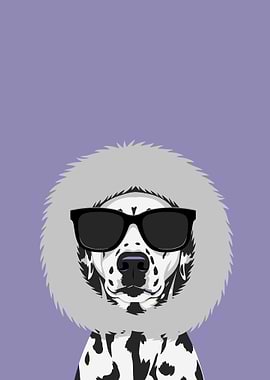 Dalmatian Dog Wearing Sunglasses and Fur Hood