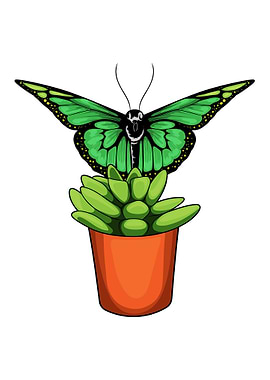 Butterfly Flower pot