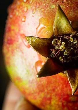 Close-up of a Pomegranate with Water Droplets