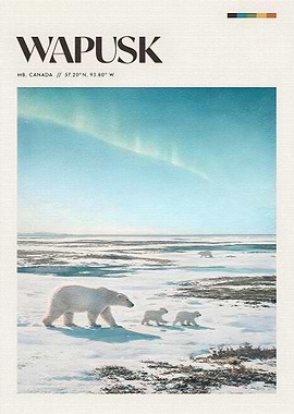 Polar Bears Under Aurora Borealis