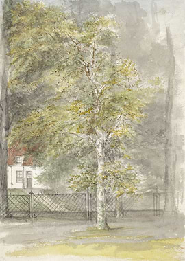Watercolor painting of a house and trees