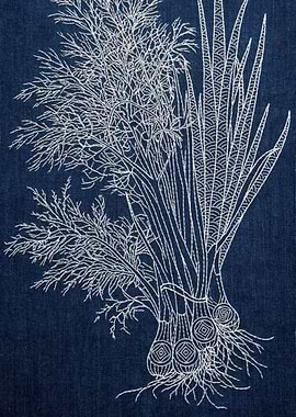 Embroidery of Dill and Scallions on Denim