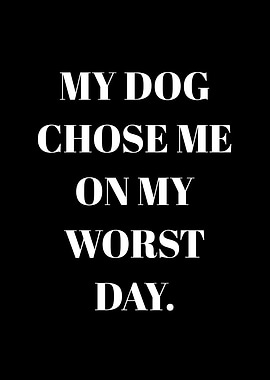 My Dog Chose Me On My Worst Day