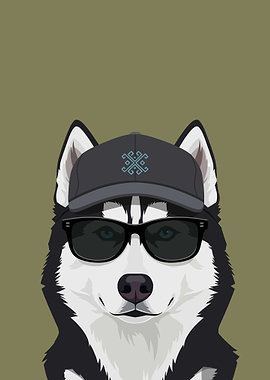 Husky Dog Wearing Sunglasses and Cap