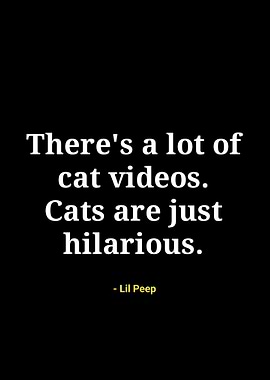 Lil Peep quote about cats