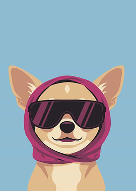 Chihuahua Dog Wearing Sunglasses and Scarf