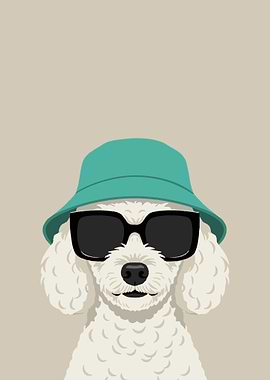 Dog Wearing Sunglasses and Bucket Hat