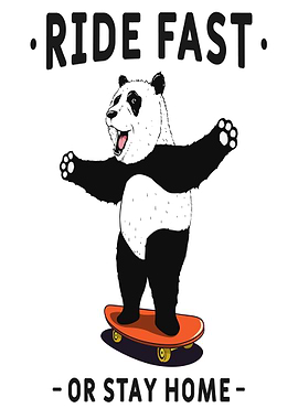 Panda on Skateboard
