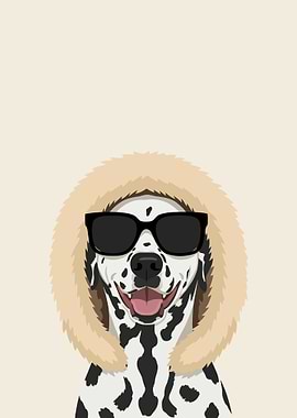 Dalmatian Dog Wearing Sunglasses and Fur Hood