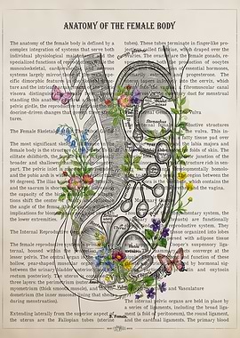 Anatomy of the Female Body