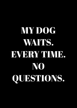 My Dog Waits Every Time No Questions
