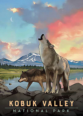 Kobuk Valley National Park Wolves