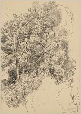 Sketch of a Forest Path with Trees