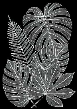 Monstera and Fern Leaves Illustration