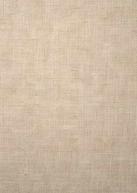Textured Beige Fabric Background