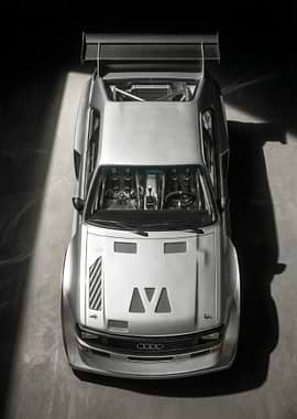 Audi Sport Quattro S1 Rally Car Top View