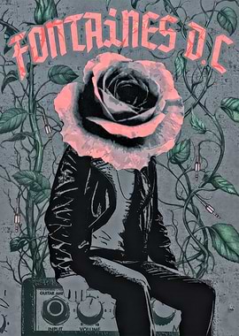 Fontaines D.C. Rose Head Poster