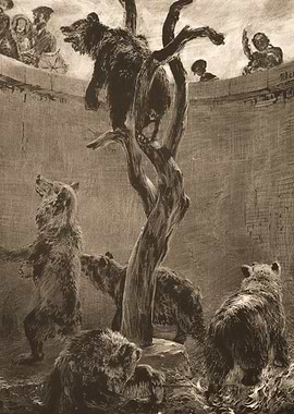 Bears in a Zoo Enclosure