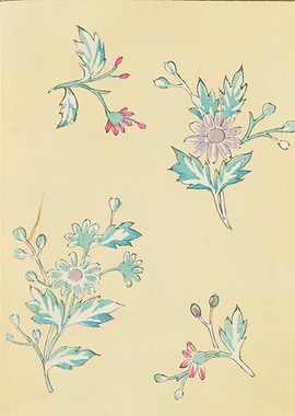 Watercolor Floral Illustrations