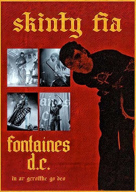 Fontaines D.C. Skinty Fia Poster