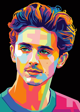 Timothée Chalamet Pop Art Portrait