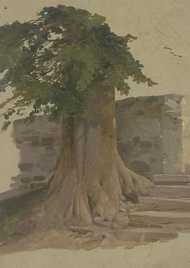 Tree roots and stone wall