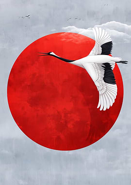 Crane flying in front of red sun