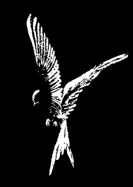 White bird in flight silhouette