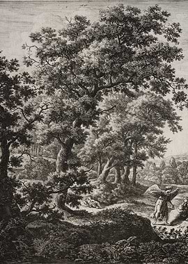 Angelic figure in a forest landscape