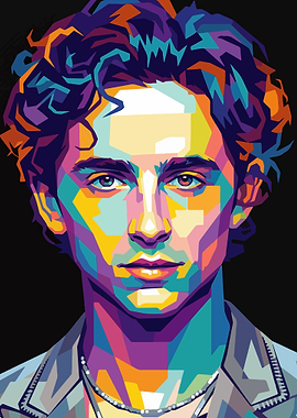 Timothée Chalamet Pop Art Portrait