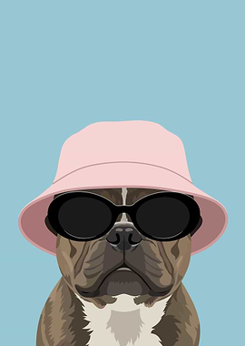Dog Wearing Bucket Hat and Sunglasses