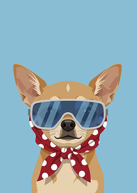 Chihuahua Dog Wearing Goggles and Scarf