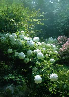 Lush Garden with White Hydrangeas
