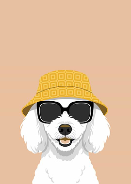Dog Wearing Sunglasses and Bucket Hat