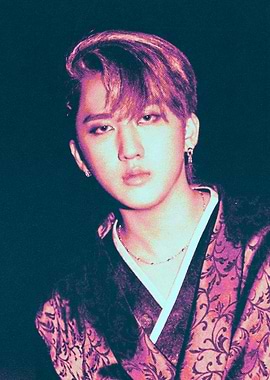 Changbin Stray Kids 'IN LIFE'