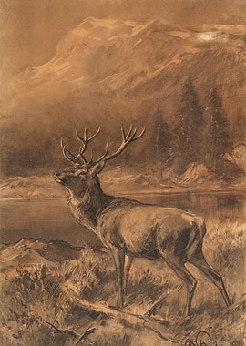 Majestic Elk in a Mountain Landscape