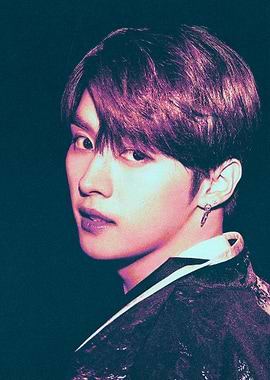 Lee Know Stray Kids 'IN LIFE'