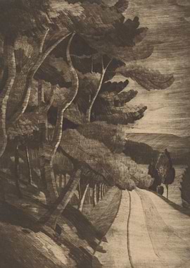 Winding Road Through Trees