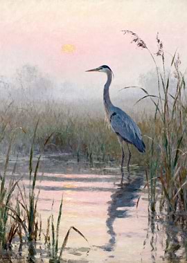Heron at Sunrise in Marsh